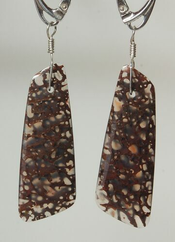 Spiderweb Agatized Dinosaur Bone (Gembone) Earrings #84743